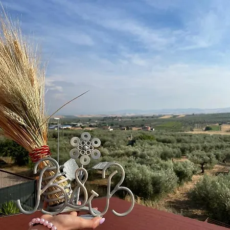 Il Panorama Torre Maggiore